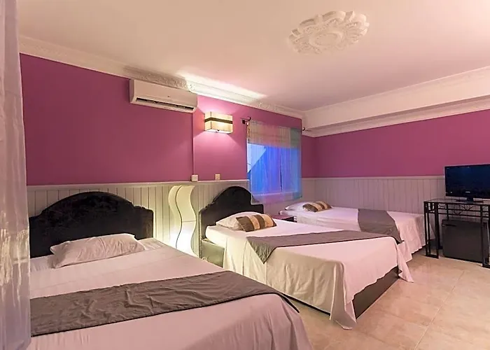 Le Tigre Hotel Siem Reap