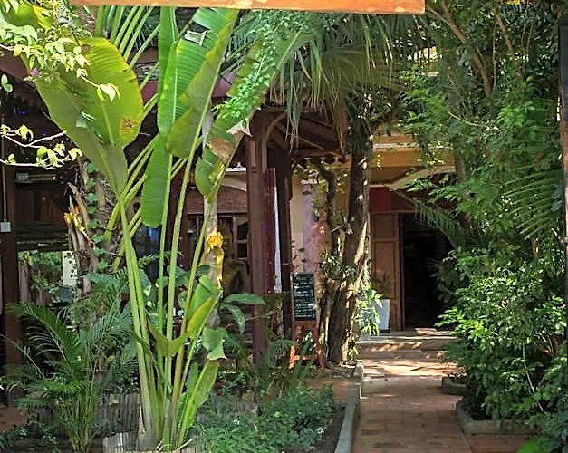 Hotel Le Tigre Siem Reap